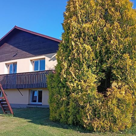 Vila Marianna Destne v Orlickych horach Exterior photo